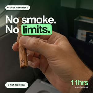 Lio | Quit Smoking & Vaping Device